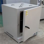 浙江450度高温烘箱（DHG-9070C）
